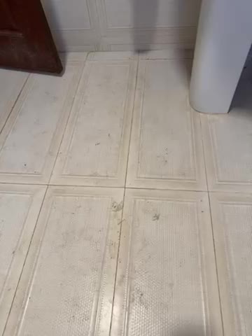 沈阳母狗鸡婆